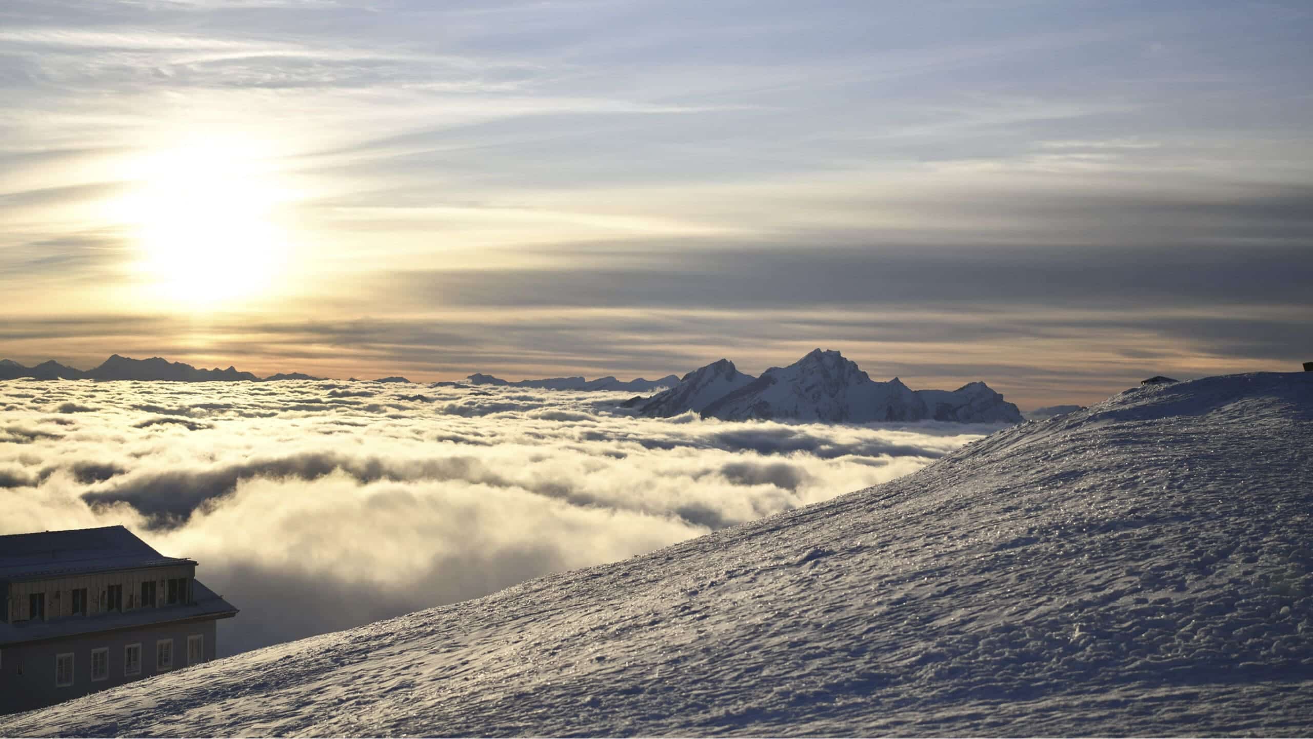 NEOVIVA Switzerland panorama